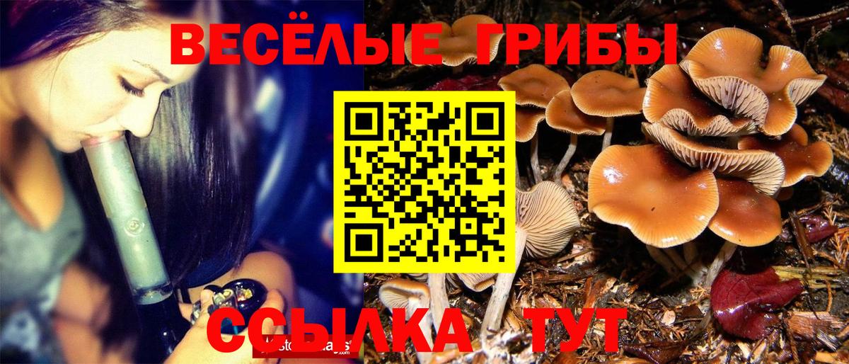 Галлюциногенные грибы GOLDEN TEACHER  Псилоцибиновые грибы мухоморы  Вход с VPN  Ишимбай 
